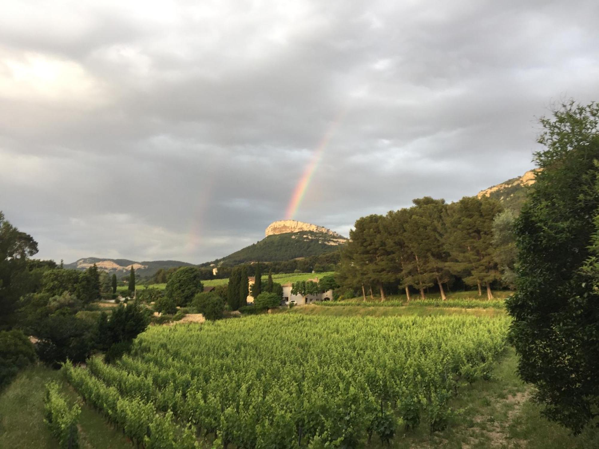 La Dépendance Cassis